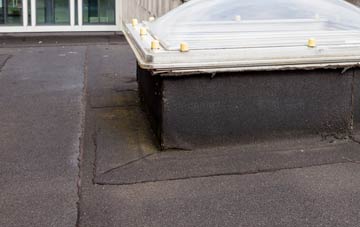 disadvantages of Appleton Roebuck flat roofs