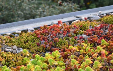 the cost of Appleton Roebuck green roof installation