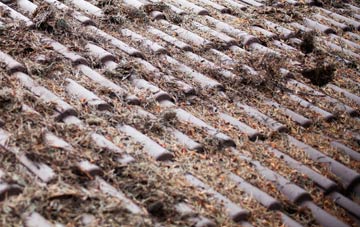 Appleton Roebuck roof cleaning companies