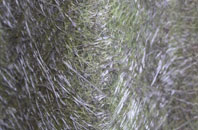 Appleton Roebuck fibreglass roof work